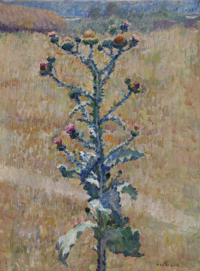 Steppe Burdock 1933 Mashkov Ilya Ivanovich (1881-1944)