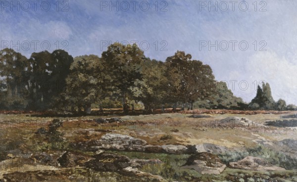 Edge of the Forest of Fontainebleau.