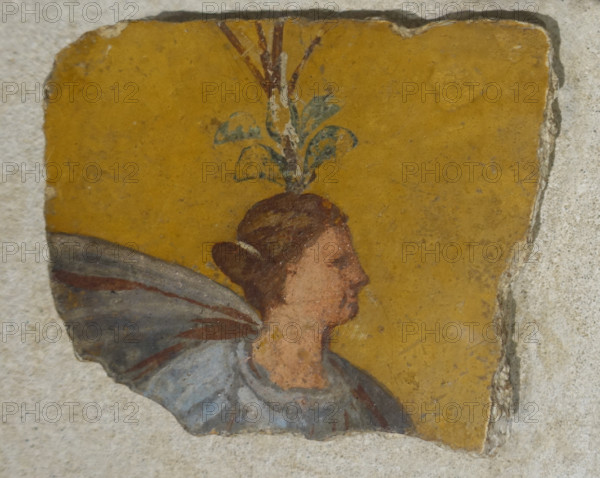 Head of a woman with a plant crown