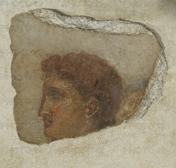 Head of a young man