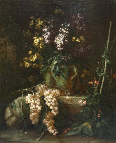 Still Life with Grapes