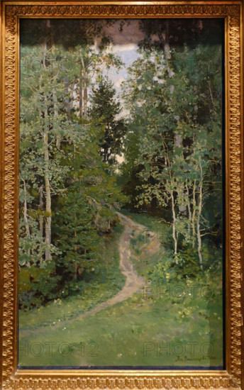 Aspen trees