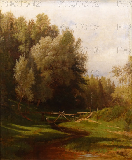 Forest river