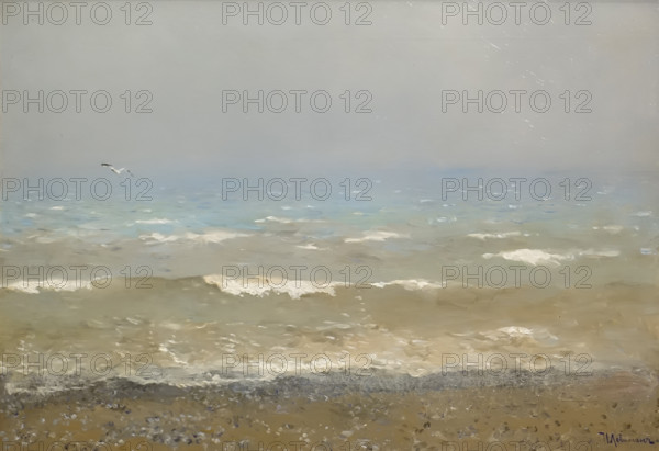 The Shore of the Mediterranean sea