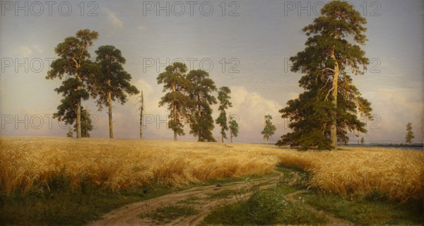 Rye