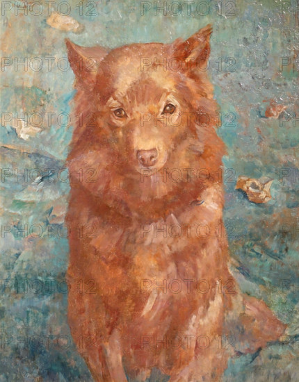 A Dog
