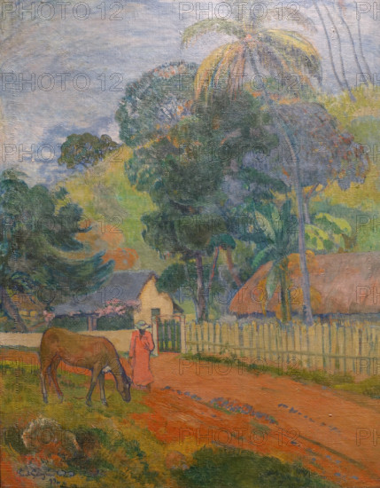 Landscape