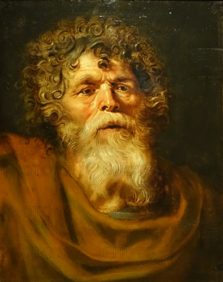 Head of an old man by Pieter Pauwel Rubens (1577–1640)