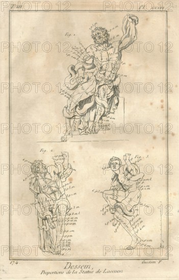 Encyclopv©die di Denis Diderot e Jean Baptiste Le Rond d'Alambert (1751-1772). TIII-PL XXXVI Dessein. Proporzioni della statua del Laocoonte