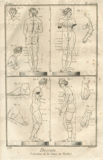 Encyclopv©die di Denis Diderot e Jean Baptiste Le Rond d'Alambert (1751-1772). TIII-PL XXXVIII Dessein. Proporzioni della Venere dei Medici