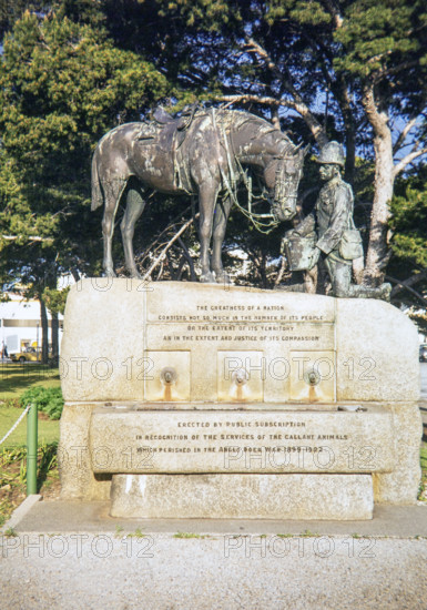 The Horse Memorial bronze sculpture.