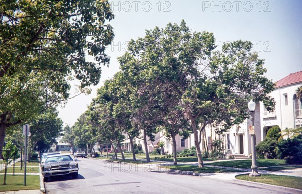 1972 Chevrolet Impala, suburban tree-lined street, California 1976