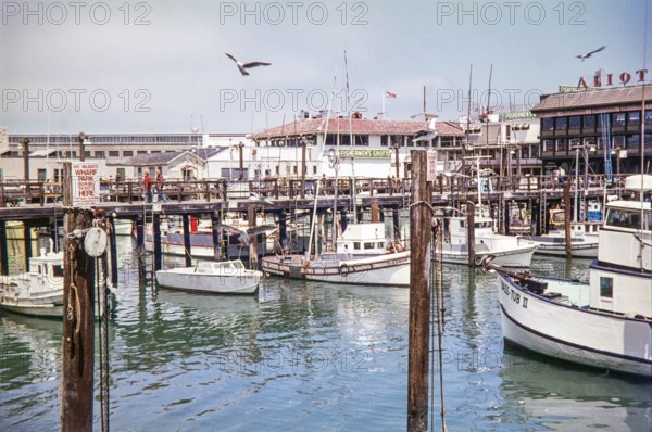Fisherman's Wharf, San Francisco, 1976