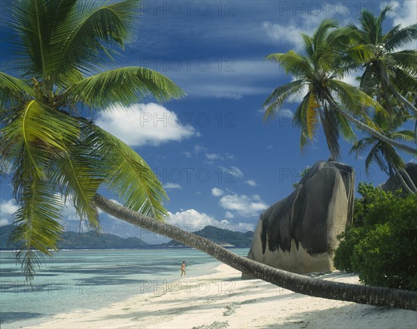 SEYCHELLES, La Digue, Reunion Beach, Large boulders by the waters edge with a coconut palm tree leaning over the turquoise water as a woman walks out of the sea towards the white sand