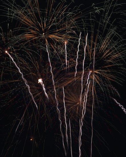 JAPAN, Fireworks, Hanabi Flowers of Fire fireworks designed to look like flowers