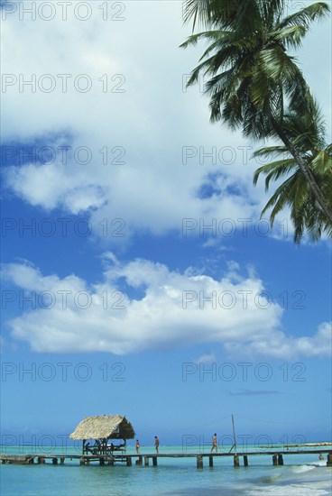 WEST INDIES, Tobago, Pigeon Point, Boat jetty with thatched shelter seen from beneath coconut palm tree on the beach