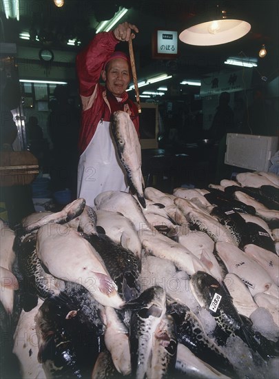 JAPAN, Honshu, Osaka, Fugu Globe fish being held up by man in the Koromon Ichiba market