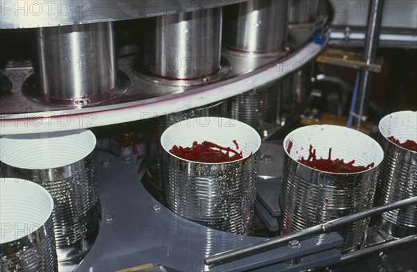 INDUSTRY, Food, Canning, Cans without lids being filled in processing plant