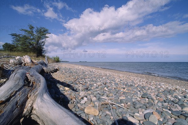 CANADA, Ontario, Lake Superior Provincial Park, Iroquois Point. View over weathered wooden log and cobbled beach toward lapping waves on the shore