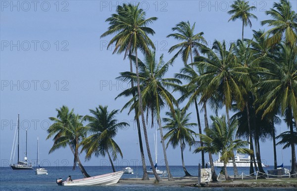WEST INDIES, St Lucia, Marigot Bay, "Cruise ship, yachts and motor boat in bay with beach and palms."