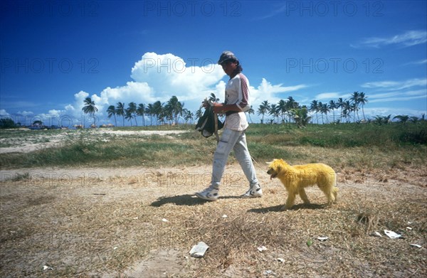 CUBA, East Havana, Man walking a dyed yellow dog near the beach with palms lining the horizon