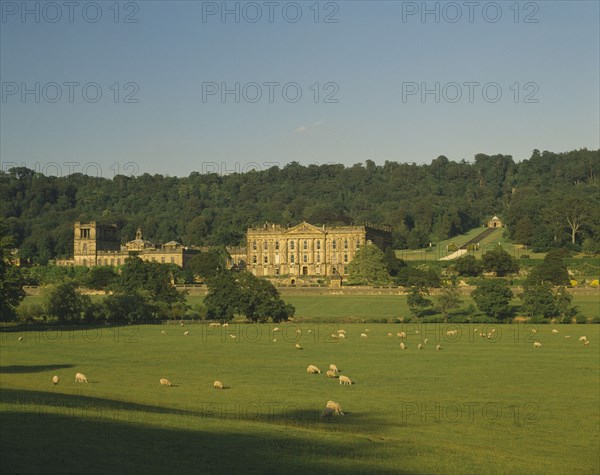 ENGLAND, Derbyshire, Chatsworth House, View towards exterior facade over grazing sheep in pasture in foreground and with trees behind.