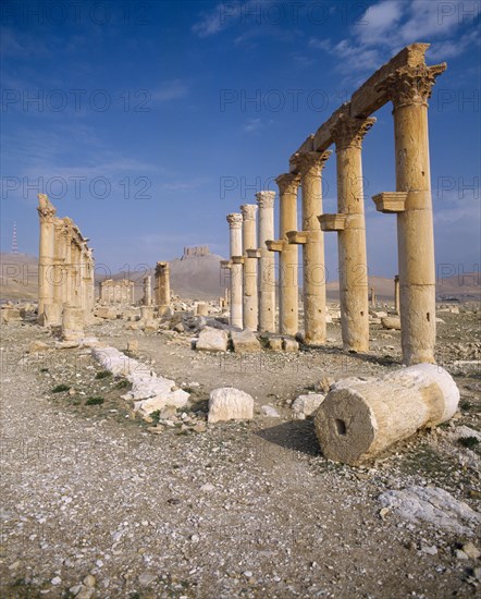 SYRIA, Central, Tadmur, "Palmyra monumental Arch,columns & ruins,some fallen & broken,fort on hill "