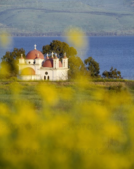ISRAEL, Galilee, Greek Orthodox Monastery with lake behind and yellow flowers in immediate foreground.