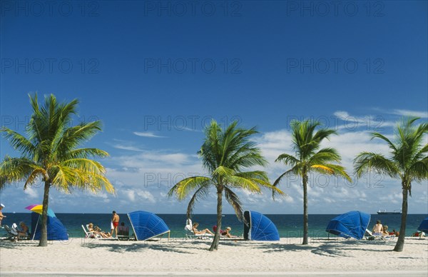 USA, Florida  , Fort Lauderdale, Line of palm trees and wind breakers on sandy beach.