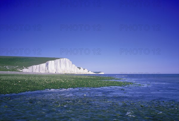 ENGLAND, East Sussex, Birling Gap, Seven Sisters chalk cliffs seen across seaweed covered rocks at low tide