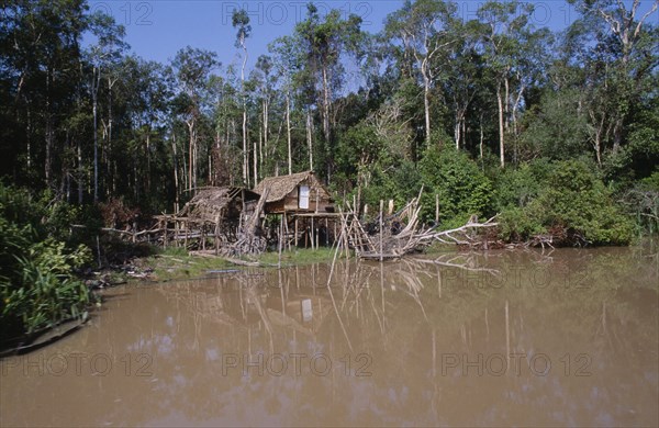 BORNEO, Jungle, Riverside stilt houses in small clearing