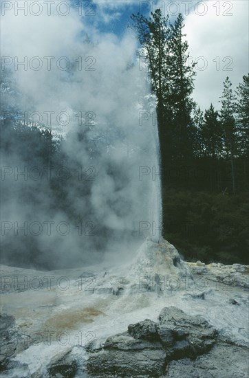 NEW ZEALAND, North Island, Waiotapu, Lady Knox geyser.