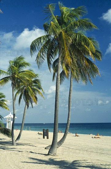 USA, Florida , Fort Lauderdale, Quiet sandy beach lined with palm trees overlooked by lifeguard tower.