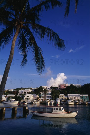 BERMUDA, Flatts Village, "Old motor boat moored in harbour under palm tree, waterside buildings and other moored boats behind."