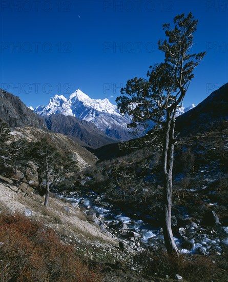 NEPAL, Sagarmatha National Park, Himalayan mountains.  Valley with stream and trees and snow covered peaks beyond.