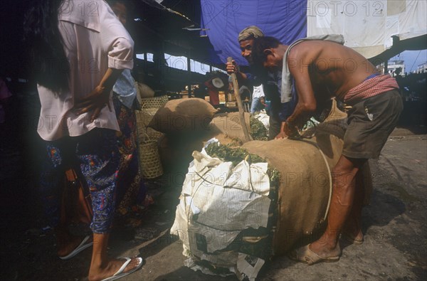 CAMBODIA, Phnom Pehn, Marijuana drugs being tied into bundles in the market.
