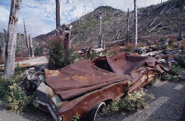 USA, Washington, Skamania, Mount St Helens National Volcanic Monument. Crushed car and flattened bare trees in the aftermath of the 1980 eruption