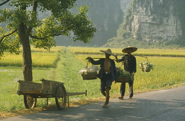 CHINA, Yangshou, Farming, Men walking on a road past  paddy fields carrying goods on poles over their shoulders