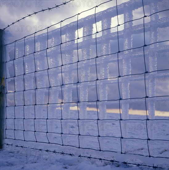 CLIMATE, Winter, Ice, Wire fence with ice attached and reflecting the shape of the wire