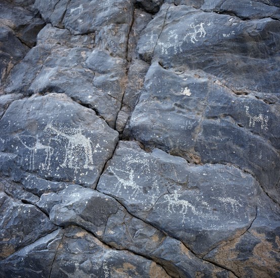OMAN, Jebel Akhdar, Wadi Sahtan, Rock drawings of men on camels and horses scratched on grey stones