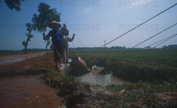 VIETNAM, General, Irrigating paddy fields along road to Ha Bac.