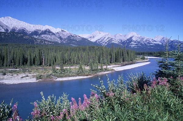 CANADA, Alberta, Banff national park, View over river toward forest against a backdrop of snowcapped mountain peaks on the horizon