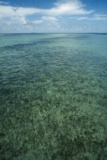 CUBA, Ciego De Avila, Cayo Guillermo, Clear shallow water