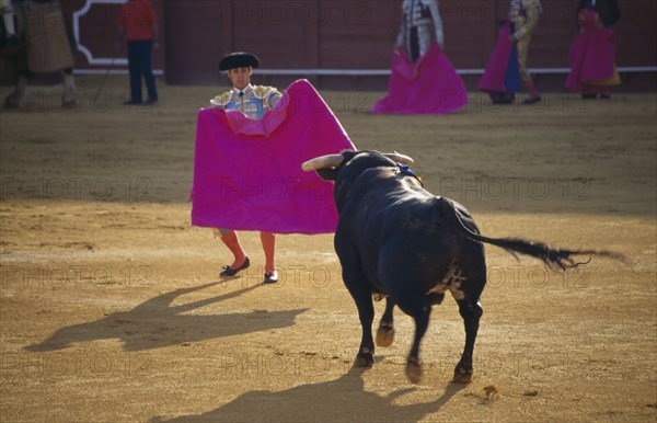SPAIN, Andalucia , Seville , El Arenal District. Matadors asssistant in Bullring with Bull