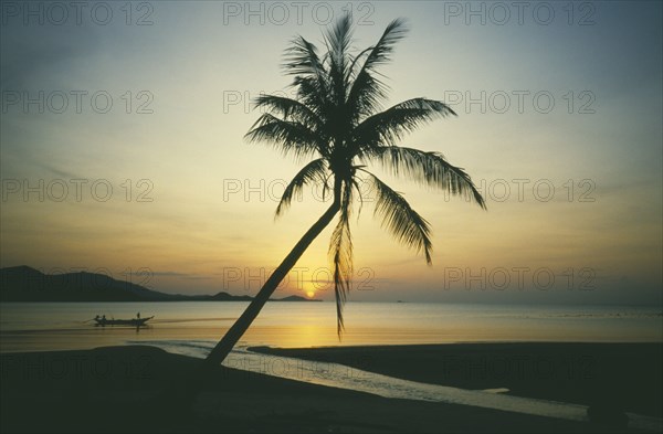 THAILAND, Surat Thani, Ko Samui, Big Buddha beach at sunset with fishing boat going past single coconut palm tree