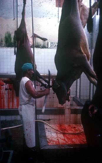 CUBA, Camaguey , Abattoir with man wearing long apron cutting away at hanging carcases with large knife