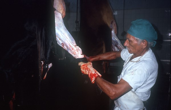 CUBA, Camaguey , Abattoir with man skinning hanging carcase