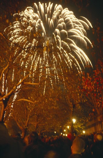 FIREWORKS , London, Firework display and spectators.