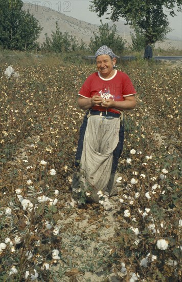 GREECE, Industry, Cotton Picking