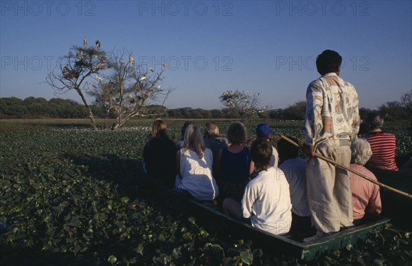 INDIA, Rajasthan, Bharatpur Nature Reserve, Tourists sitting in a boat at dusk watching storks nesting in a tree